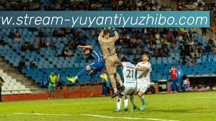 雨燕体育直播全站App